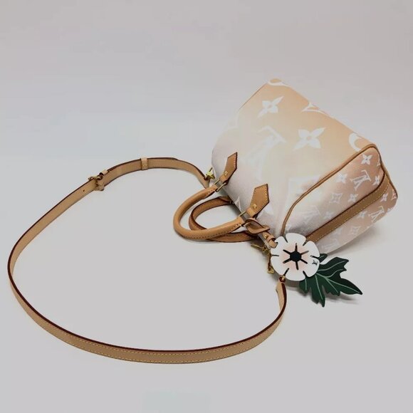 LOUIS VUITTON Monogram Giant Gradient Speedy Bandouliere - Picture 3 of 15